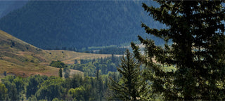 The Complete Clean Beauty Routine for Dry Skin: Your Guide to Lasting Hydration