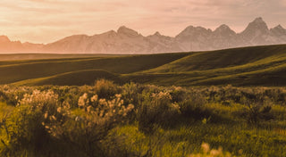 Hyaluronic Acid: The Complete Guide to Nature's Ultimate Hydrator