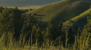 Clean Beauty Routine for Sensitive Skin: Gentle Care That Actually Works