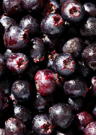 juneberries