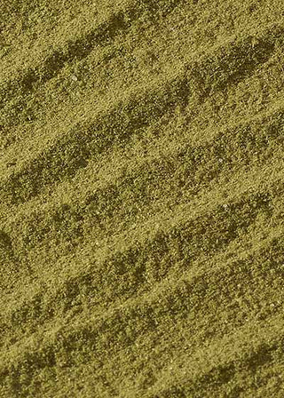plant-based collagen