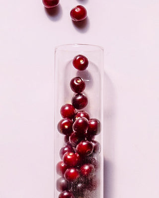 Wild Chokecherry