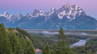 alpyn beauty recycling pact collective