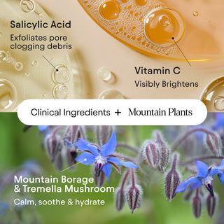 Pore Perfecting Liquid