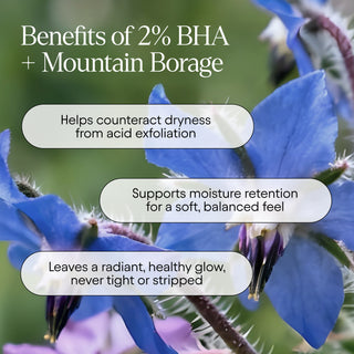 Pore Perfecting Liquid