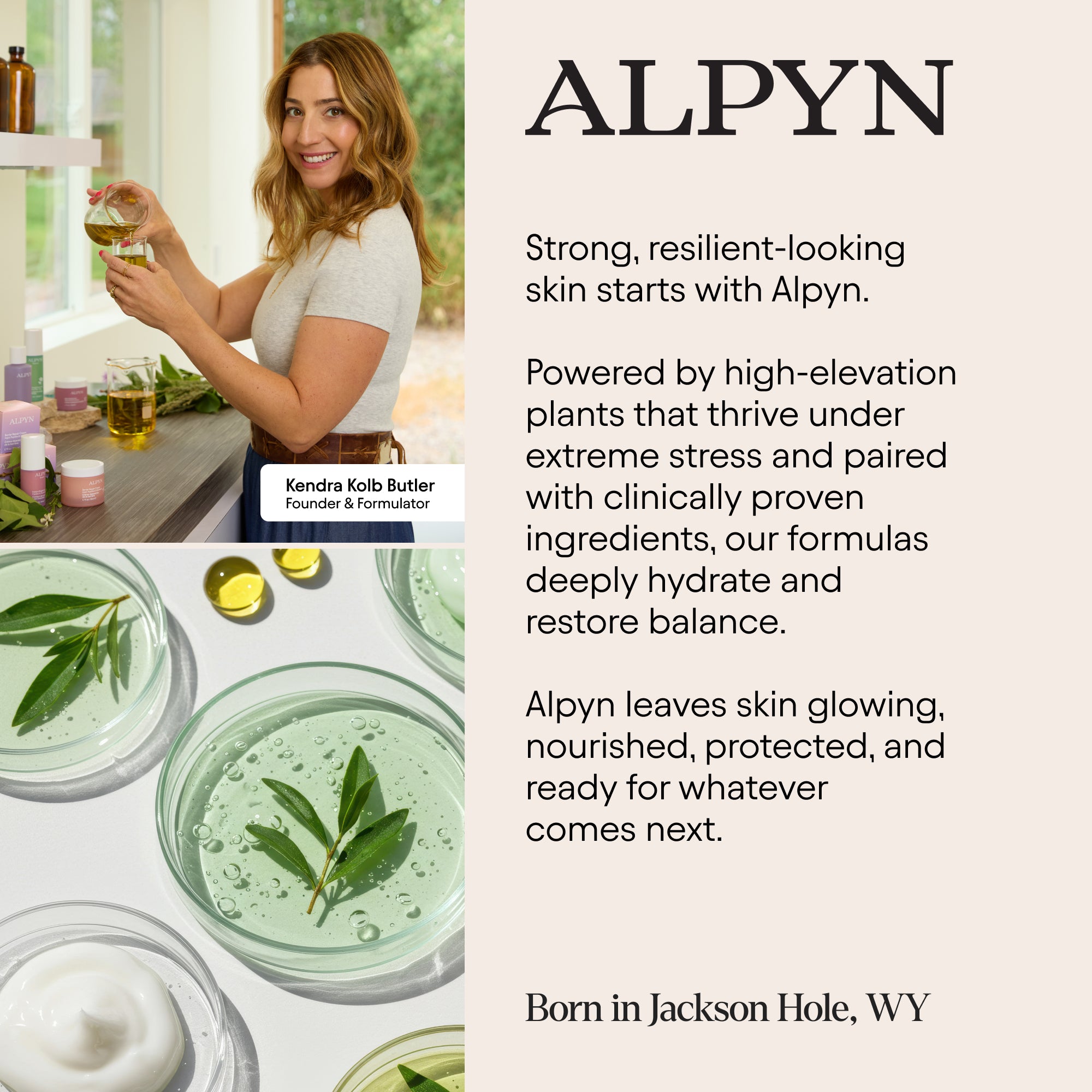 アルファイン　ビートゥエンティ　クリーム Alpyn Beauty Cleanser | Juneberry Hydrating Cream Cleanser