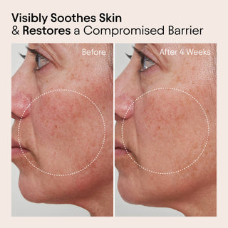 Mini Barrier Repair Cream