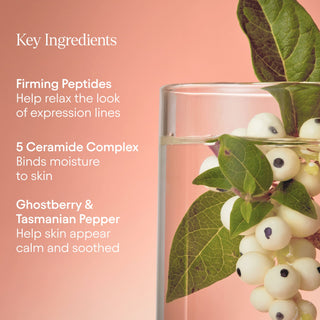 Mini Barrier Repair Cream