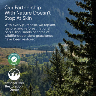 Pore Perfecting Liquid