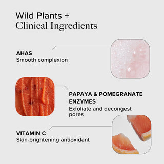 Creamy Bubbling Cleanser with Fruit Enzymes & AHAs